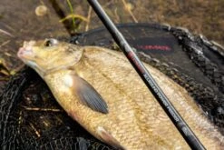 Ultimate Allround Power Feeder -Visbenodigdheden Winkel 01299b08f65e9c2a