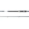 Shakespeare Salt XT Sea Spin 3,05m (40-80g)
