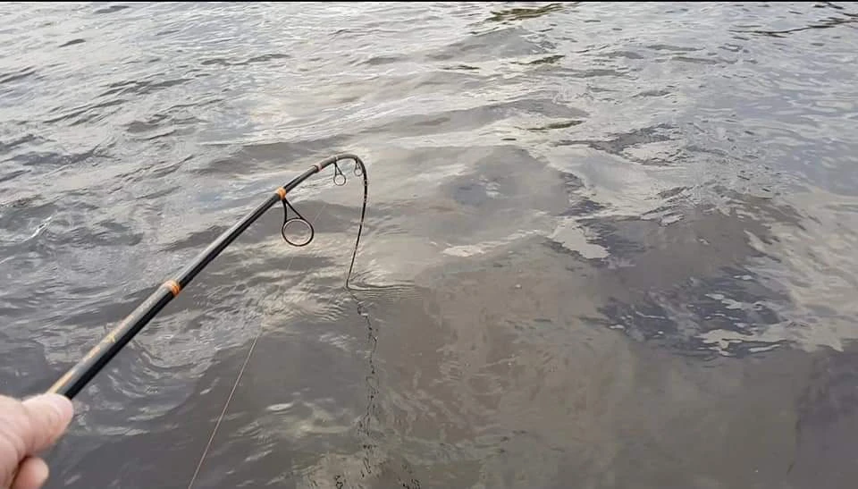 Patriot Pike Specialist Spinhengel 2.44m (15-75g) 1 Patriot Pike Specialist Spinhengel 2.44m (15-75g)