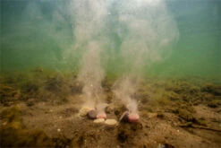 Ultimate Baits Up & Down Tablets 300gr.20mm. Sweet/Fruit