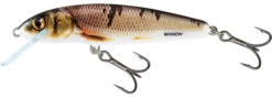 Salmo Minnow Floating 'Holo Real Minnow' 6cm (4g) -Visbenodigdheden Winkel e1fa3174b6acd01a