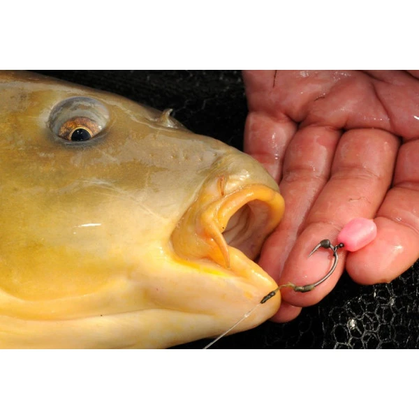 Korda Pop Up Maize Fruity Squid Pink 1 Korda Pop Up Maize Fruity Squid Pink