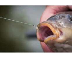 Matrix MXC-6 Barbless Eyed Witvishaken (10st) Maat 14